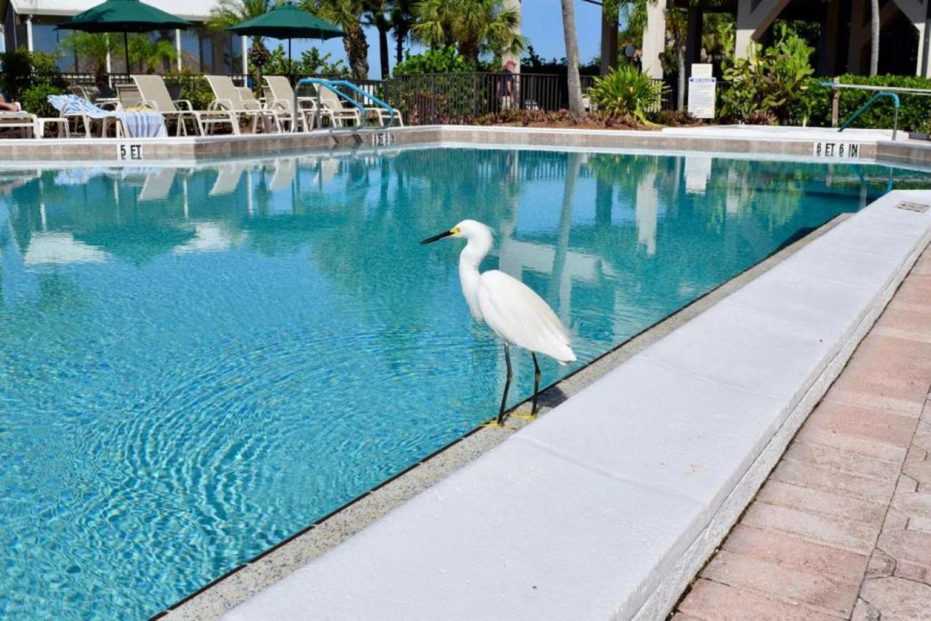 Caribbean Beach Club Fort Myers Beach Exteriör bild